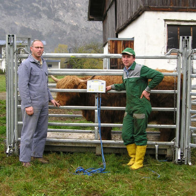 Landeskontrollverband Tirol Fleischleistungskontrolle