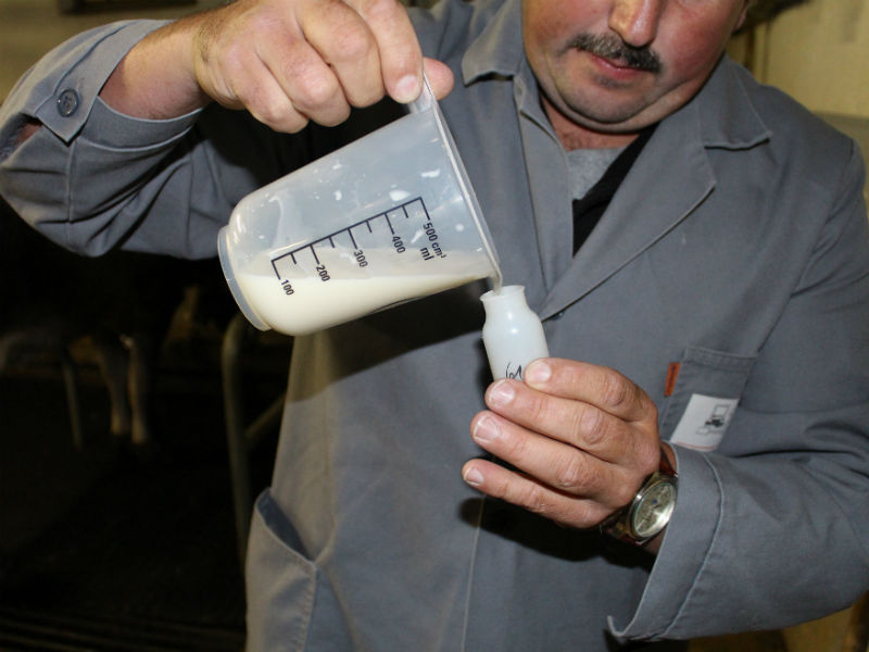 Milchleistungskontrolle